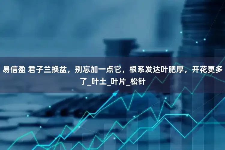 易信盈 君子兰换盆，别忘加一点它，根系发达叶肥厚，开花更多了_叶土_叶片_松针