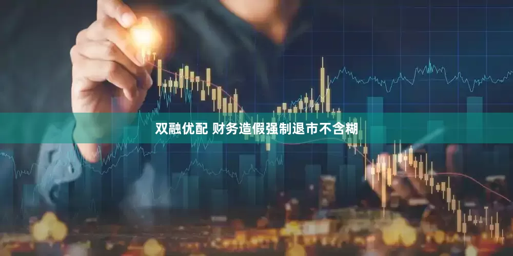 双融优配 财务造假强制退市不含糊