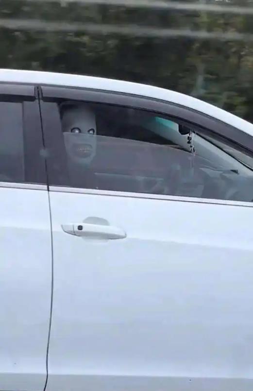 51策略 网友称高速路有人戴恐怖面具惊吓过路车辆 律师：行为涉嫌违法